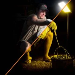 CampBoss Boss Camp Light -OZtrail Store 4x4 camplight 2